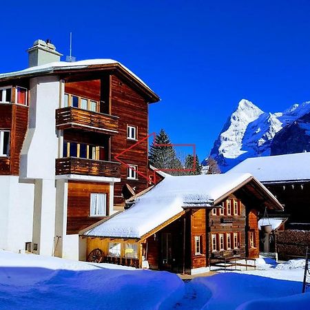 Appartement Chalet Anemone 2 à Mürren Extérieur photo