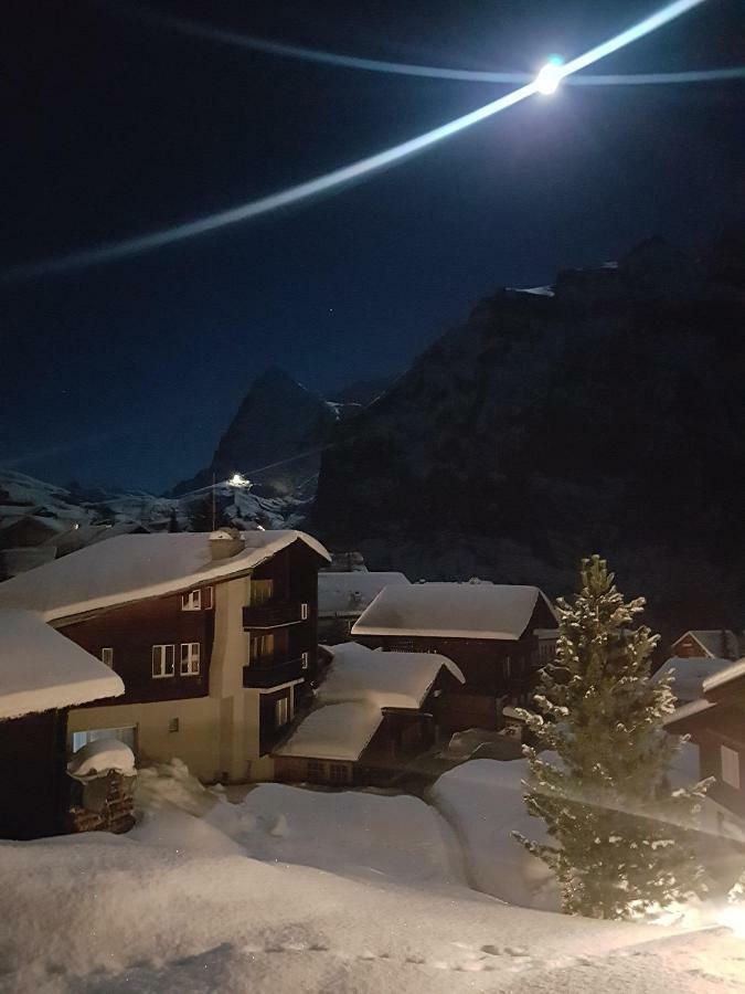 Appartement Chalet Anemone 2 à Mürren Extérieur photo