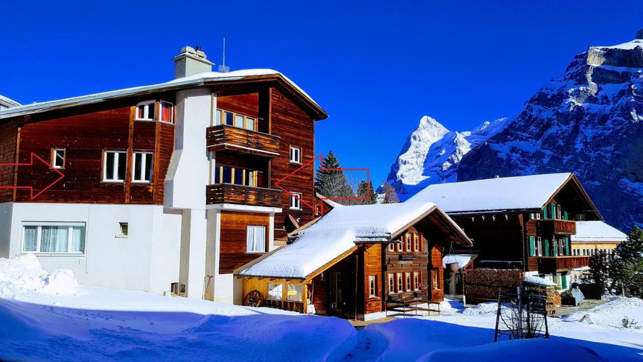 Appartement Chalet Anemone 2 à Mürren Extérieur photo